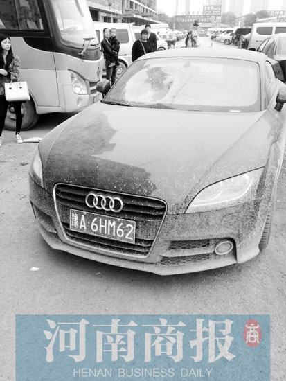 肇事奥迪车被市民在陈寨花卉市场发现