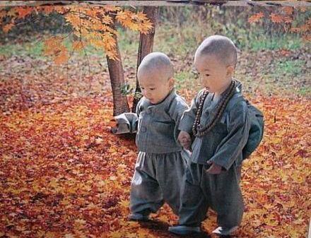 郑州版少林小子走红 图揭超可爱的呆萌小和尚