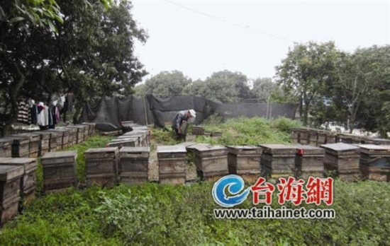 漳州有多少人口_洪濑口之歌 平和人的心声