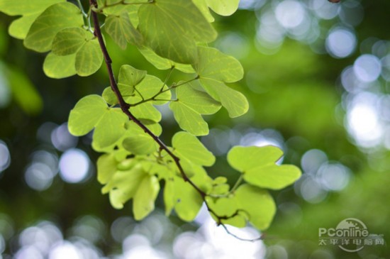 买了单反怎么拍?五条摄影入门小技巧推荐