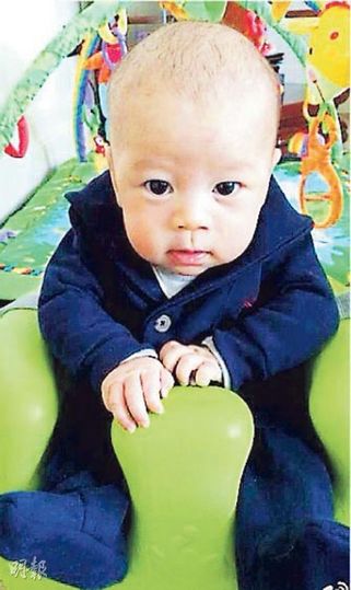 霍启刚:儿子遗传郭晶晶运动天分 二胎想要女儿