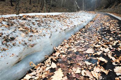 五月怀柔喇叭沟门 看高山杜鹃次第开