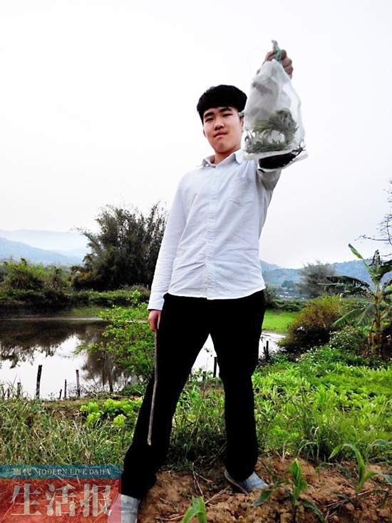 男子野采重口味不毒不爱 曾被蜈蚣咬中毒(图