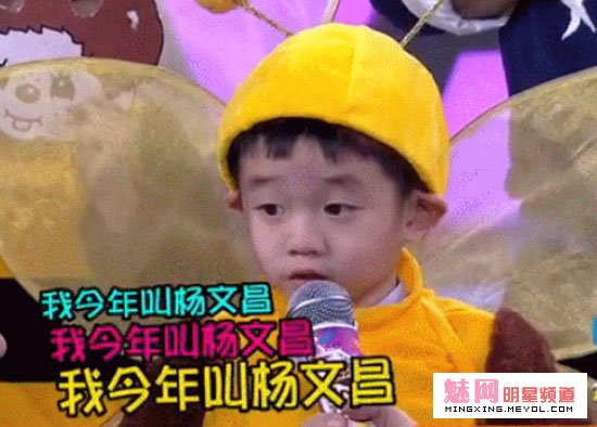 范冰冰一年收入_开心网季一年收入(2)