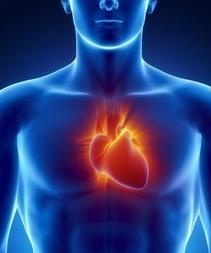 自测:你的心脏年龄多少岁 4招保命护心