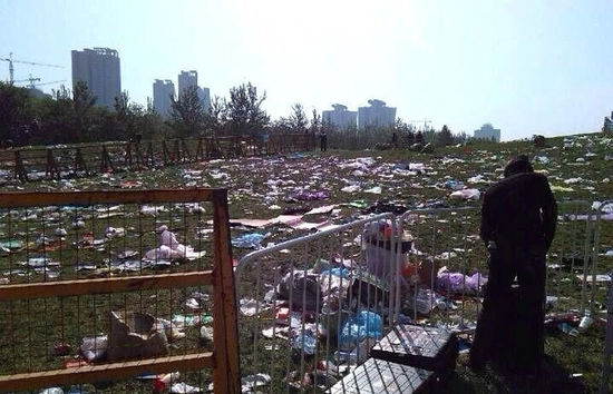 北京草莓音乐节过后公园草地遍地垃圾(图)