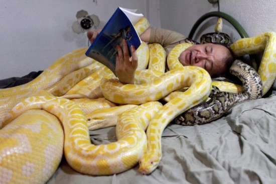 女神都是大富婆:李小璐资产吓死人 蔡依林玉腿