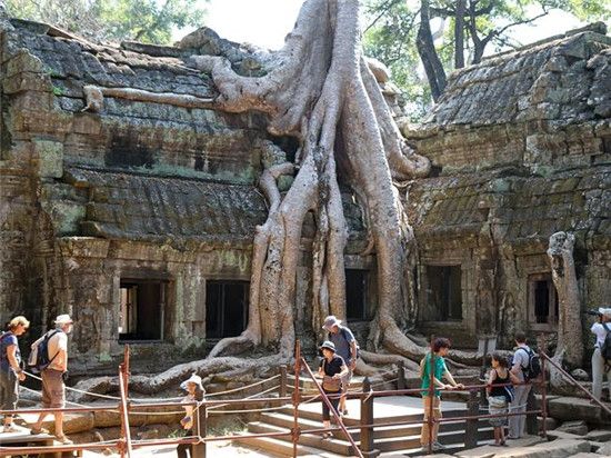 塔布隆寺(Ta Prohm)