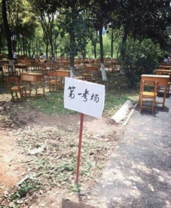 湖北荆州一所中学为防作弊将考场搬进树林 老