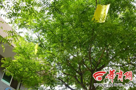 宝鸡金渭两区人口_宝鸡区县地图全图