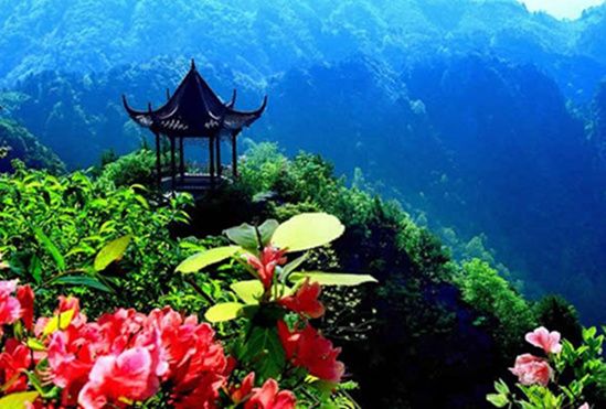 芜湖虾子小刀面 梳理舌尖中国II美食美景