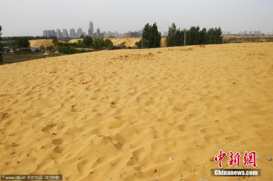 郑州郊外形成沙漠景观 面积如四个蓝球场毗邻