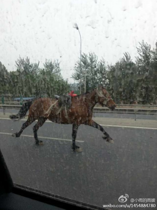 高清跑狗回 晋朝多少年