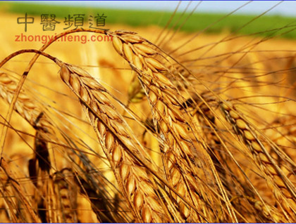饮食养生:能杀死体内癌细胞的8大神效食物 - 喜乐年华 - 群 英 荟 萃
