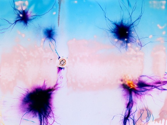 观念摄影:极端颤栗(大图)