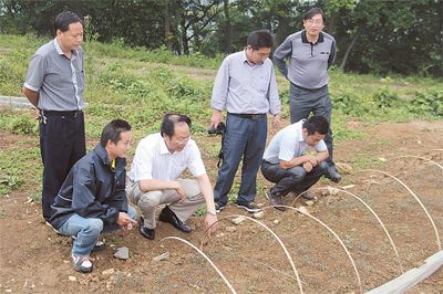 湖北远安县卫计局党组书记,花林寺镇慈化村第一书记汤贵华(左二)