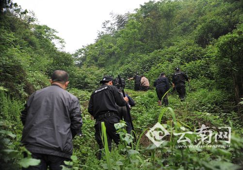 云南昭通威信县长安乡安稳村村民晋方槐设鸿门宴砍死2人 图