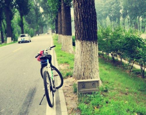 北京五月份去哪玩?京郊骑行路线推荐(图)