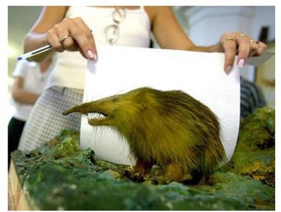 iSLjy̮Ƴ̨uʪjjù
