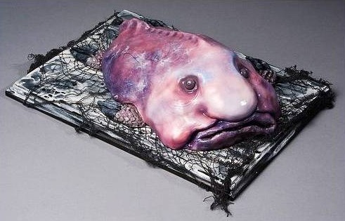 ˮ ̵ȫϡŹֵĿɰͼˮ㣨blobfish״ɳ12Ӣ磨Լ30.5ףڰĴǶϲ800׵ĺףٱ෢֡ 