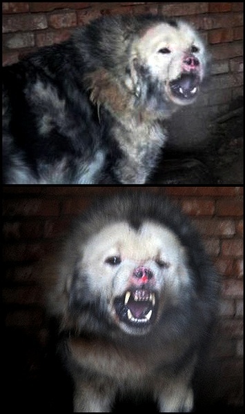iSLjy̮Ƴ̨uʪjjù