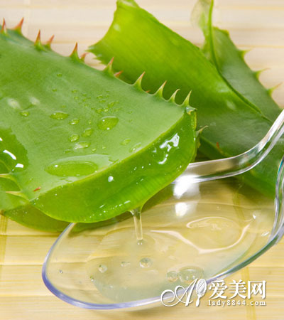  Ӫ
