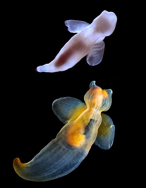 iSLjy̮Ƴ̨uʪjjù