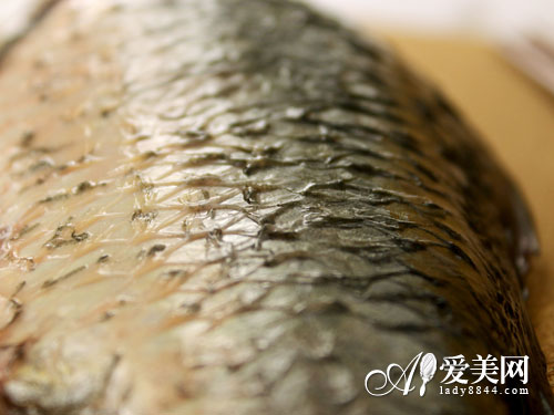 鱼是海鲜吗_海鲜鱼品种名称及图片_海鲜火锅(3)