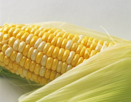 饮食养生:小米黑米 17种杂粮的养生功效