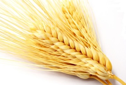 饮食养生:小米黑米 17种杂粮的养生功效