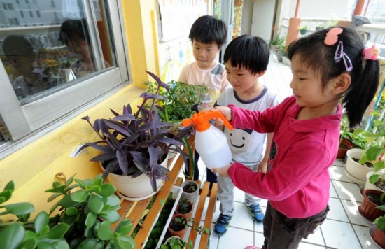 苏州一幼儿园搭建 植物园 小朋友们精心培育