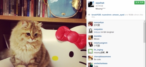 赤裸裸秀恩爱!冯德伦被舒淇爱猫抓发飙(图)