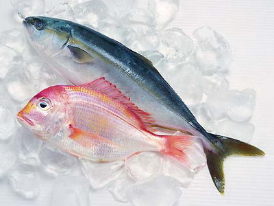 男性养生:六种食物助职场男性抗压防癌