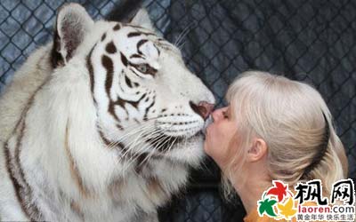 女子养老虎当宠物 像母亲孩子般经常亲吻拥抱