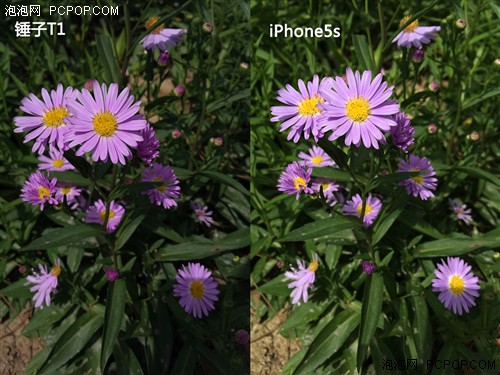 liPhone5s 