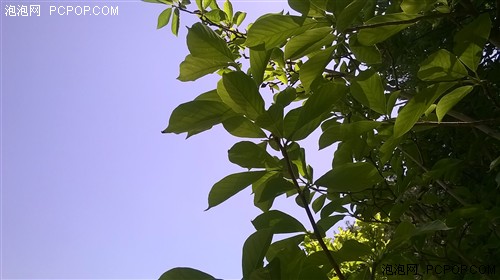ŵLumia630 