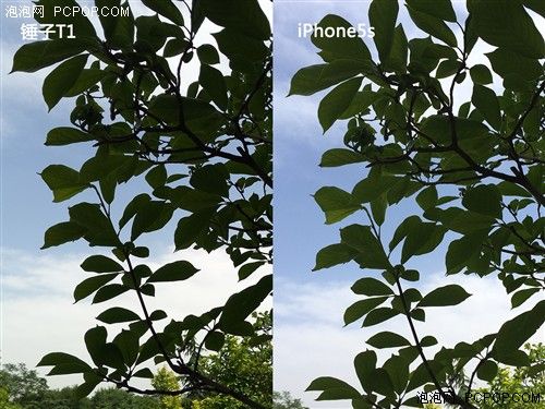 liPhone5s 