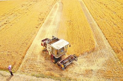 河南省小麦收割过2000万亩 短暂降雨有利夏播