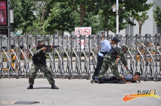 河北举行 力量-2014 反恐防暴视频演练