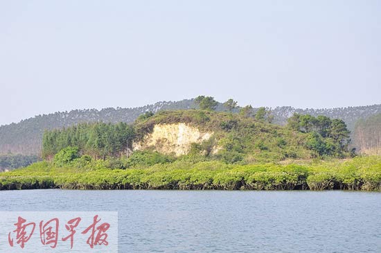 被紅樹林環繞的穿牛鼻嶺。 自治區海洋局海域和海島管理處供圖