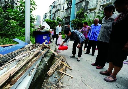 白蚁凶猛 蛀垮电视柜火攻水浇灭不完 有啥好办