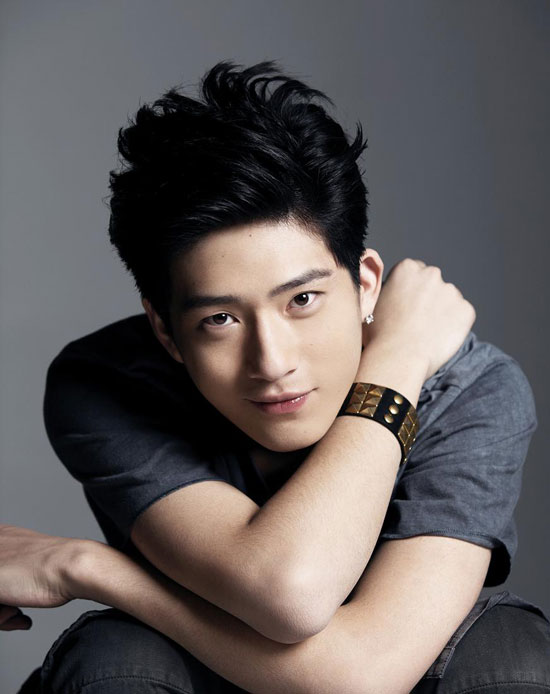 何婕出生年月?林海何婕 何婕几岁怎么了吗?