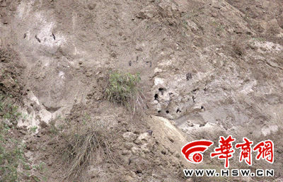 �������磬��Ӹ��ŶΣ�����������ڱ��ٵ��ѳ���������ͼѰ�ұ������������� �������� ���� �� 