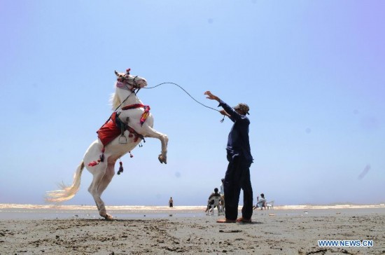 A man tries to control his horse at a beach in southern Pakistani port city of Karachi on June 6, 2014. (Xinhua/Masroor) 