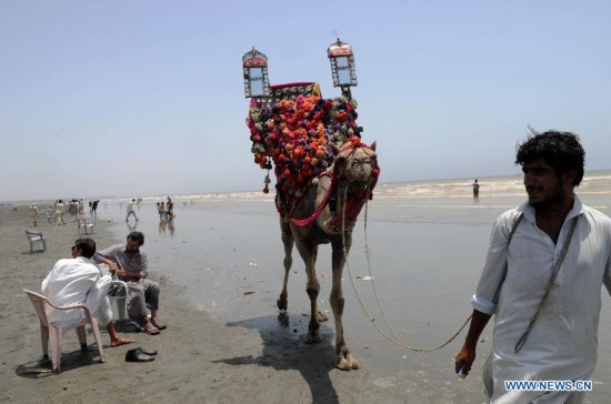 A camel owner waits for customers at a beach in southern Pakistani port city of Karachi on June 6, 2014. (Xinhua/Masroor) 