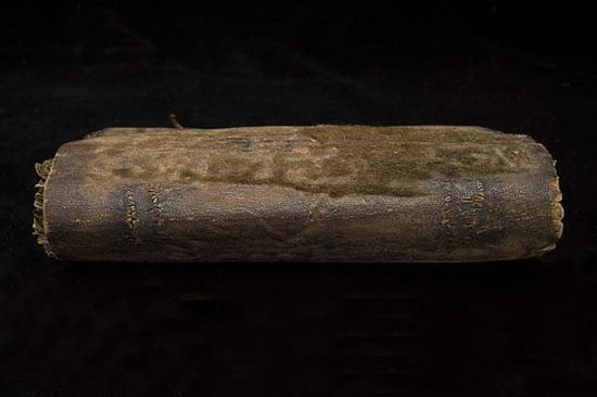 佛大学发现最恐怖藏书 精神病女患者人皮做封面