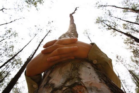 尼泊尔2000人齐抱树欲破世界纪录