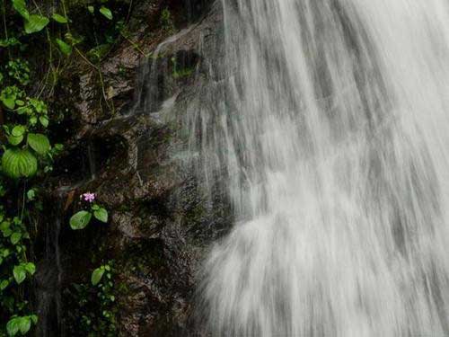 人间六月天 感受印度凉爽雨季(图)