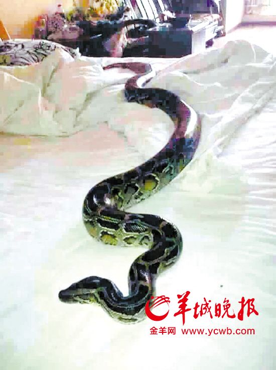 DȤJ~A׫ǧɤW