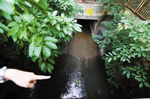 排洪渠臭水日夜流向深圳湾 南山一小区臭水沟